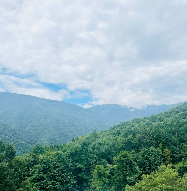 山 森