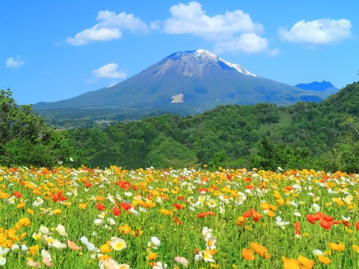 All About ニュース編集部が全国250人を対象に実施した「旅行先に関するアンケート」の調査結果から、春に行きたいと思う「鳥取県の旅行先」ランキングを発表！ 2位「とっとり花回廊」を抑えた1位は？