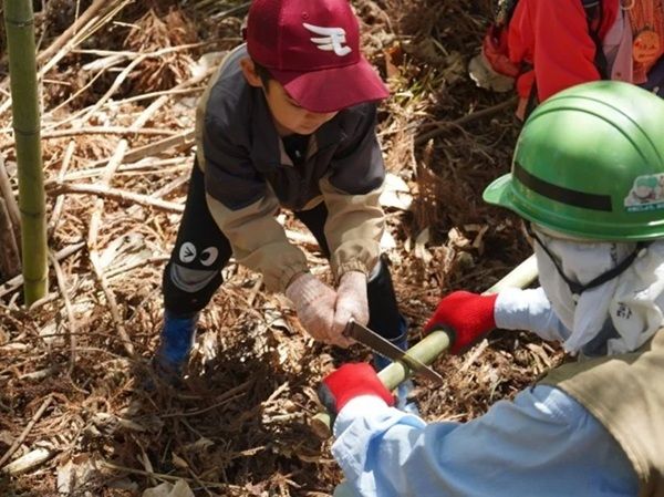 【宮城県利府町】SBI損害保険が東日本放送と協力し、ぐりりの森あそびを開催！森林整備活動などを実施