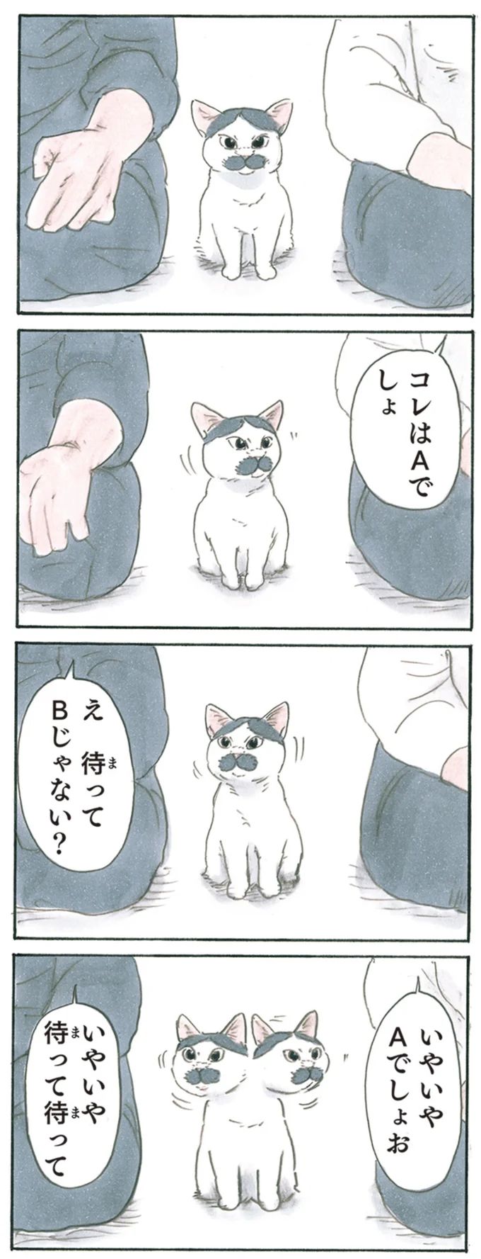 13344031.webp