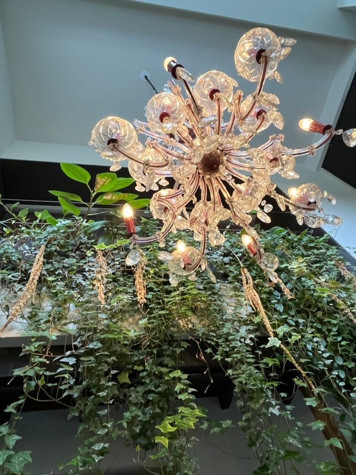 「＋h cafe kamakura」の店内