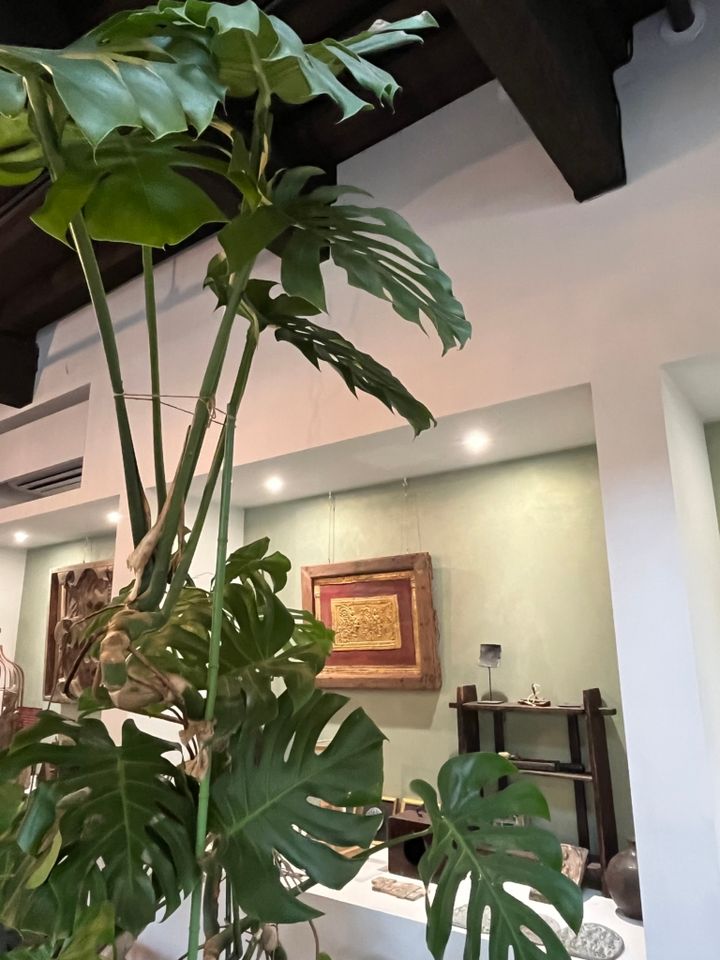 「＋h cafe kamakura」の店内