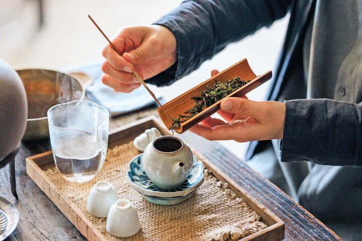 京都・鴨川の四季をのぞむ「池半分室」で、自分で淹れるお茶に心ほどけるひととき