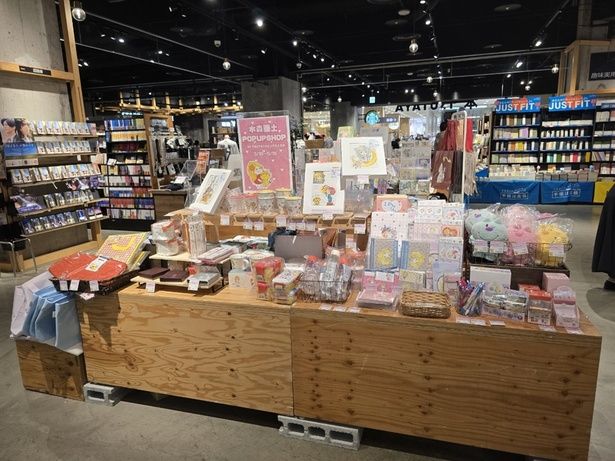 TSUTAYAリノアス八尾店(大阪)