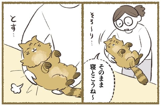 そのまま寝とこうね～ （C）ふじもりはる／KADOKAWA