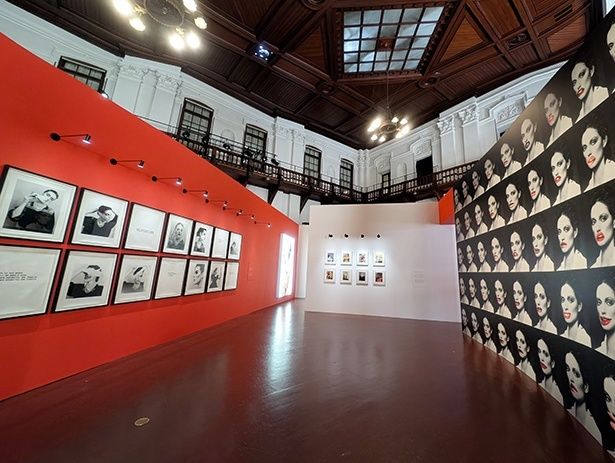 本展覧会が日本初の個展。主要な作品が紹介されている (C)Linder, Courtesy of the artist and Modern Art, London