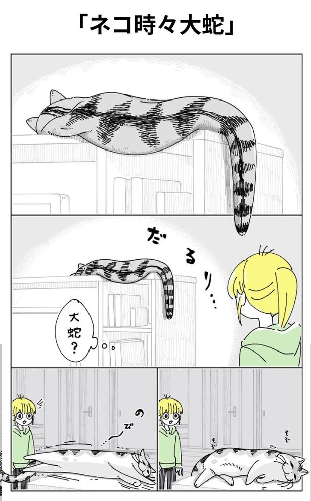 「ネコ時々大蛇」01 画像提供：キュルZ@kyuryuZ