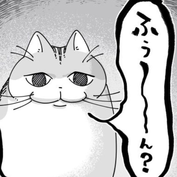 飼い主のくしゃみに『ふぅ～ん？』と反応する猫 画像提供：キュルZ@kyuryuZ