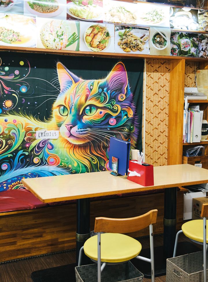 サイケデリックな猫のタペストリー