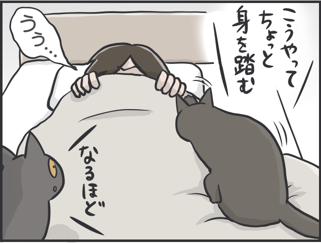 猫目線2.PNG