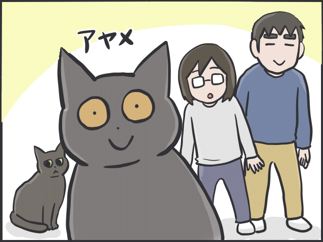 猫目線1.PNG