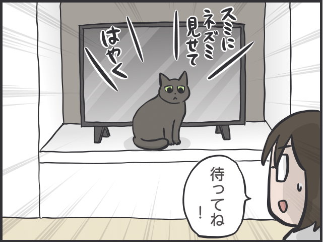猫目線3.PNG