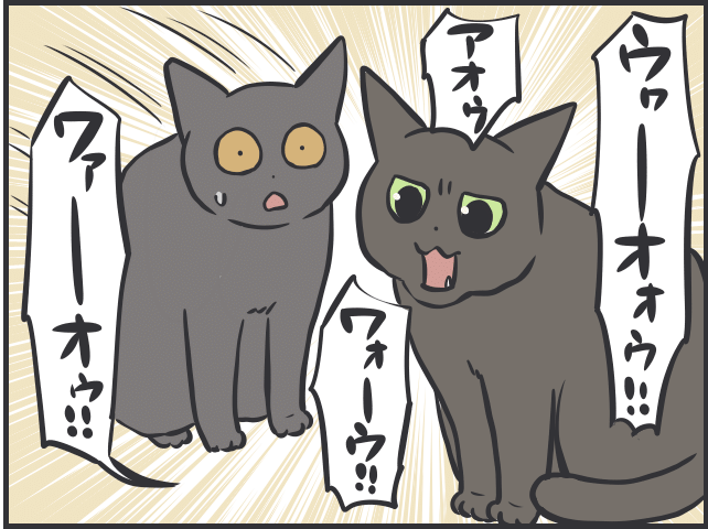 猫目線6.PNG