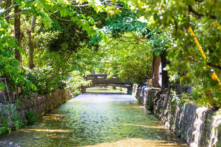 京都・新緑の「高瀬川」に新たなおさんぽスポット誕生♪ 任天堂から源氏物語まで町歩きの楽しさを満喫