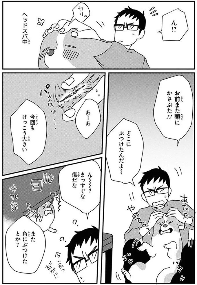 16070771.webp