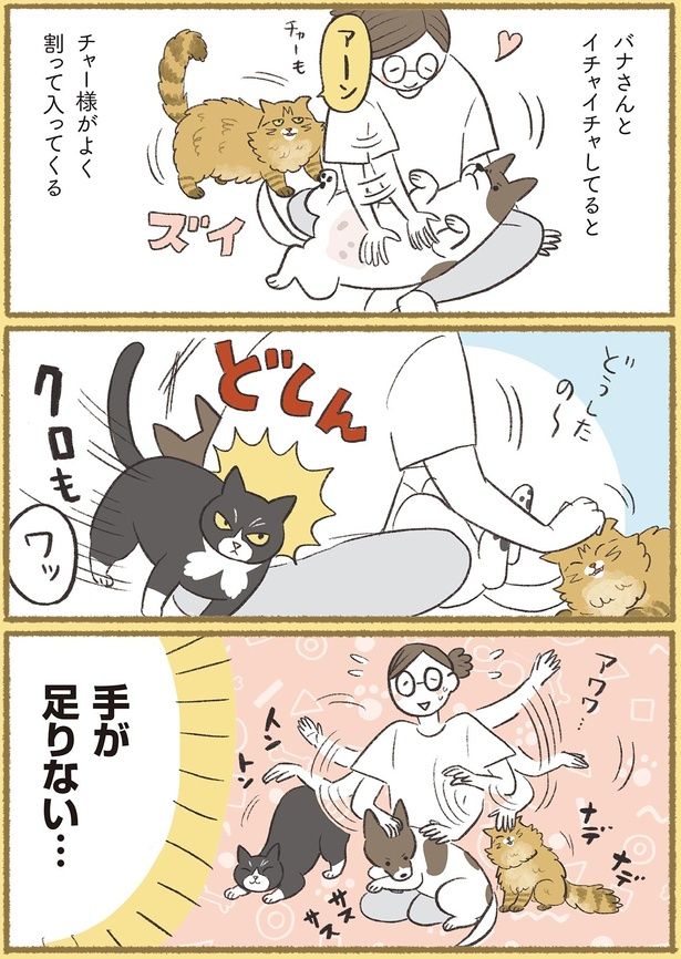 どしん （C）ふじもりはる／KADOKAWA