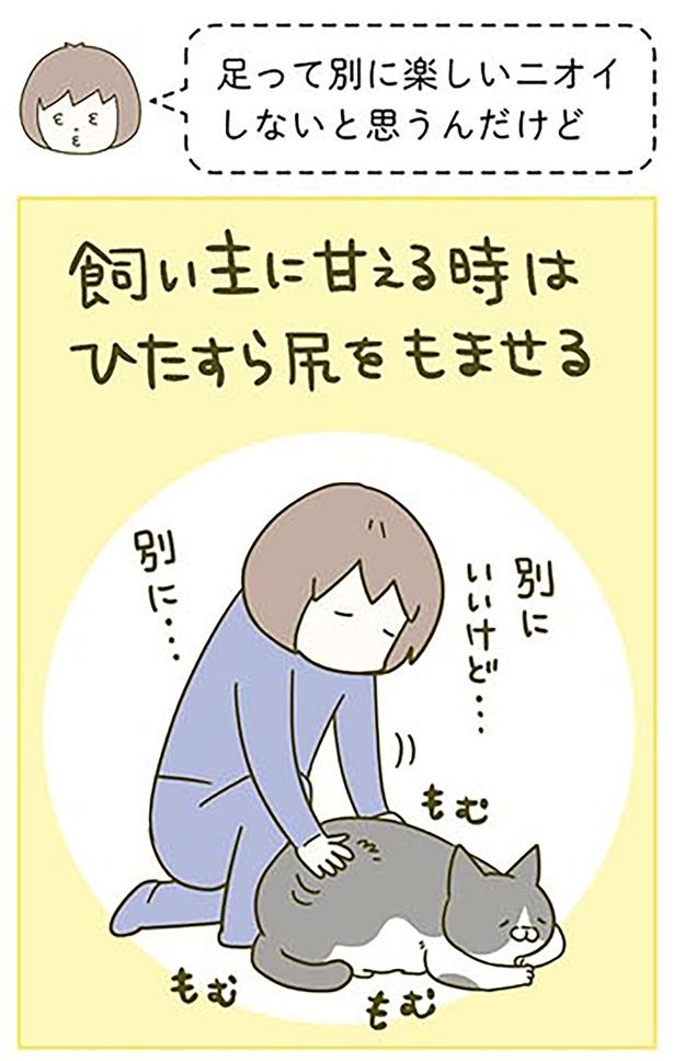 別にいいけど… （C）卵山玉子／KADOKAWA