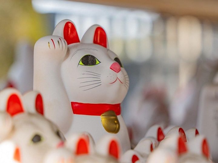 2026年5月5日は「一粒万倍日」「大明日」「母倉日」「天恩日」が重なる超開運日！ 立夏を迎え、エネルギーが切り替わるこの日にやるべき「運を育てる」正解アクションを5つご紹介します。（画像出典：PIXTA）