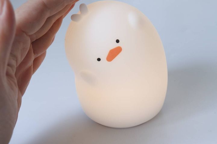 ダイソー センサーライト（アヒル） 使用例