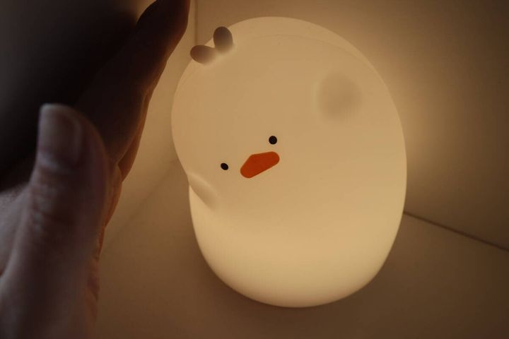 ダイソー センサーライト（アヒル） 使用例 光量 デザイン