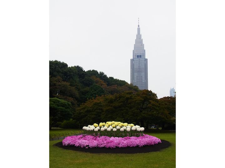 ひとり旅は偏愛♡がキーワード！ 好奇心を解放する、マニアックな旅活ガイド。