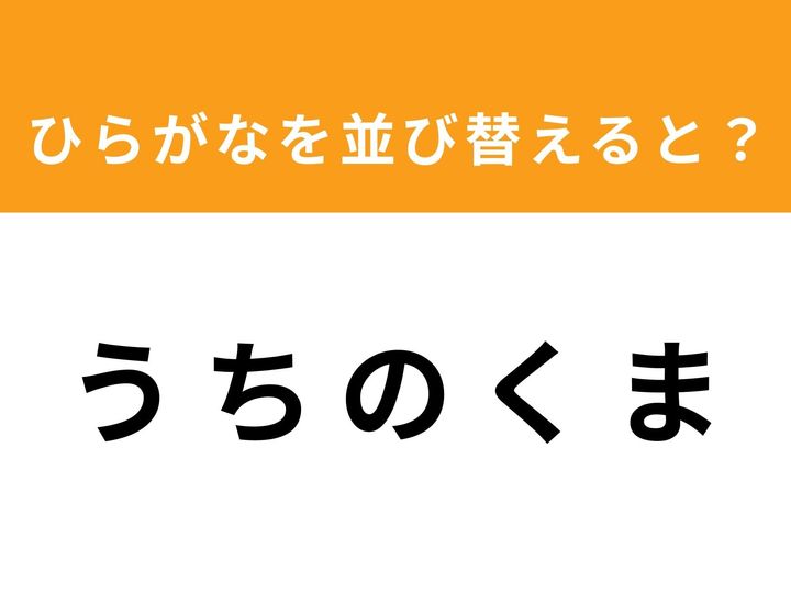 ひらがなを並び替えて正しい単語を導き出すアナグラムクイズに挑戦！ 今回のお題は「う ち の く ま」。一見すると別の意味に見えるこの文字列。1分以内に隠された単語を見つけ出し、脳をスッキリさせましょう！