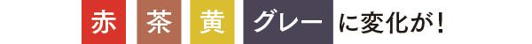 赤・茶・黄・グレーに変化が！