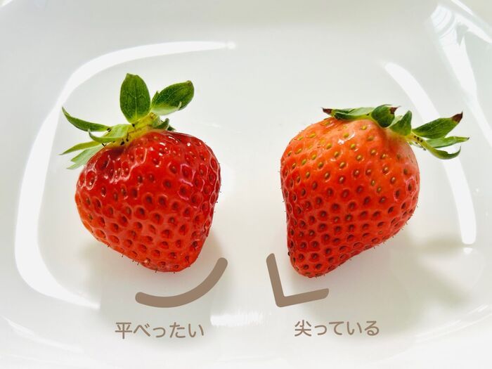 甘いのはどっち？美味しい『いちご』の選び方。正解のパックを選べるようになりますよ♪