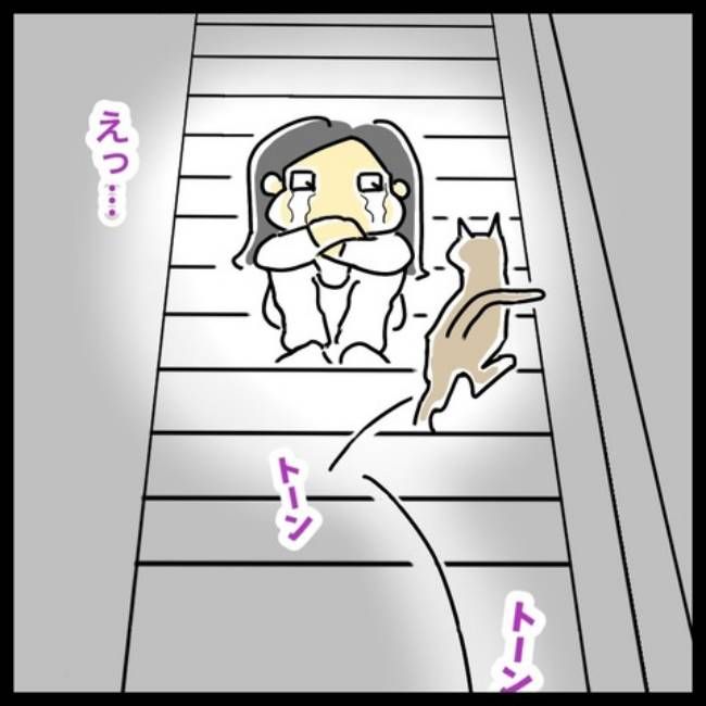 前の結婚の終わり方／へそ