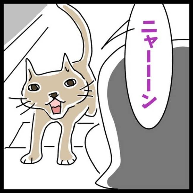 前の結婚の終わり方／へそ