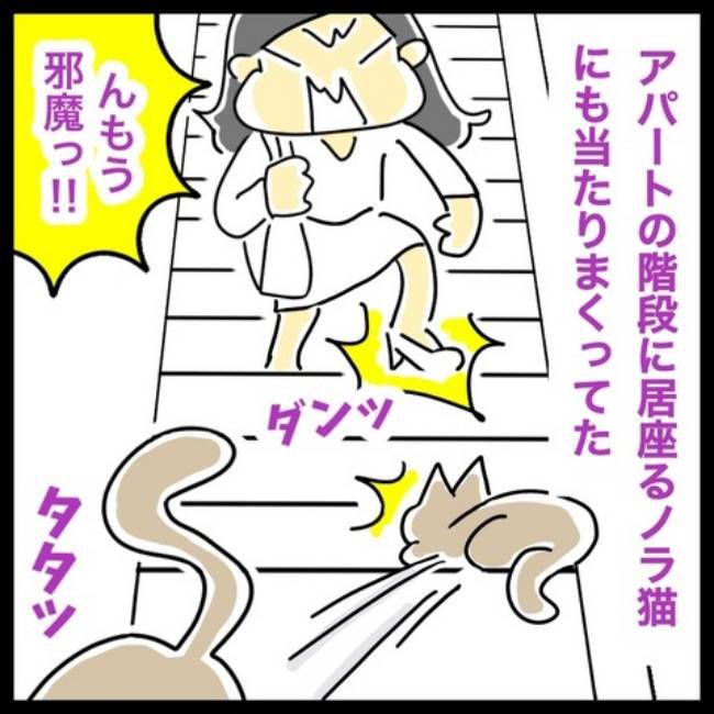 前の結婚の終わり方／へそ