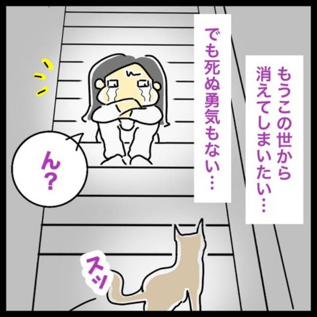 前の結婚の終わり方／へそ