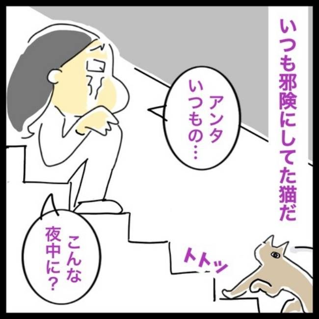 前の結婚の終わり方／へそ