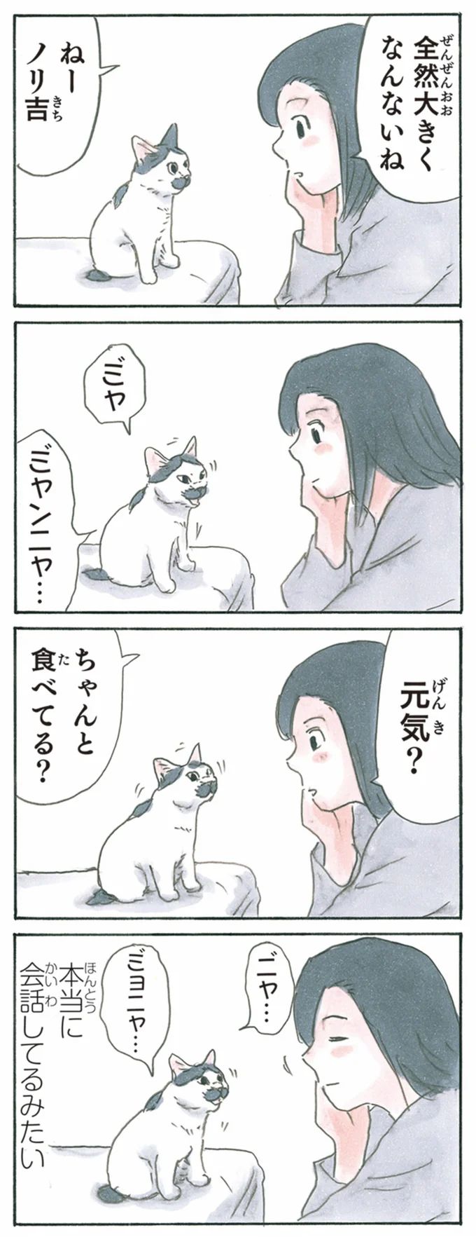 13344041.webp