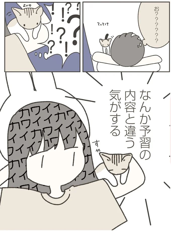 16124206.webp