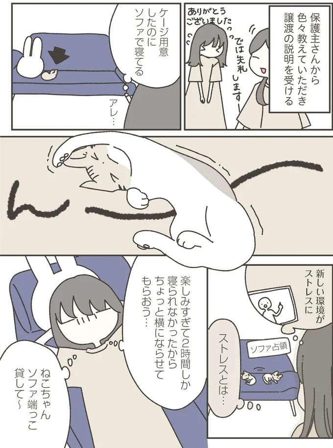 16124205.webp