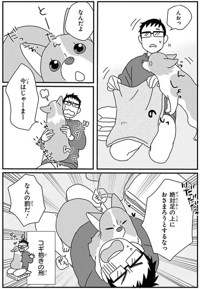 16070776.webp
