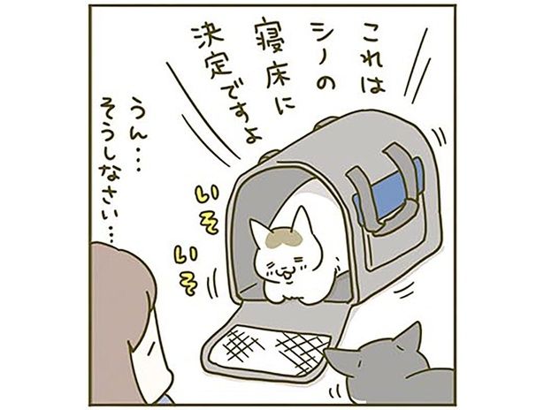 寝床に決定ですよ （C）卵山玉子／KADOKAWA