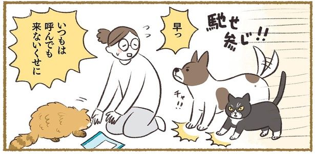 いつもは呼んでも来ないくせに （C）ふじもりはる／KADOKAWA