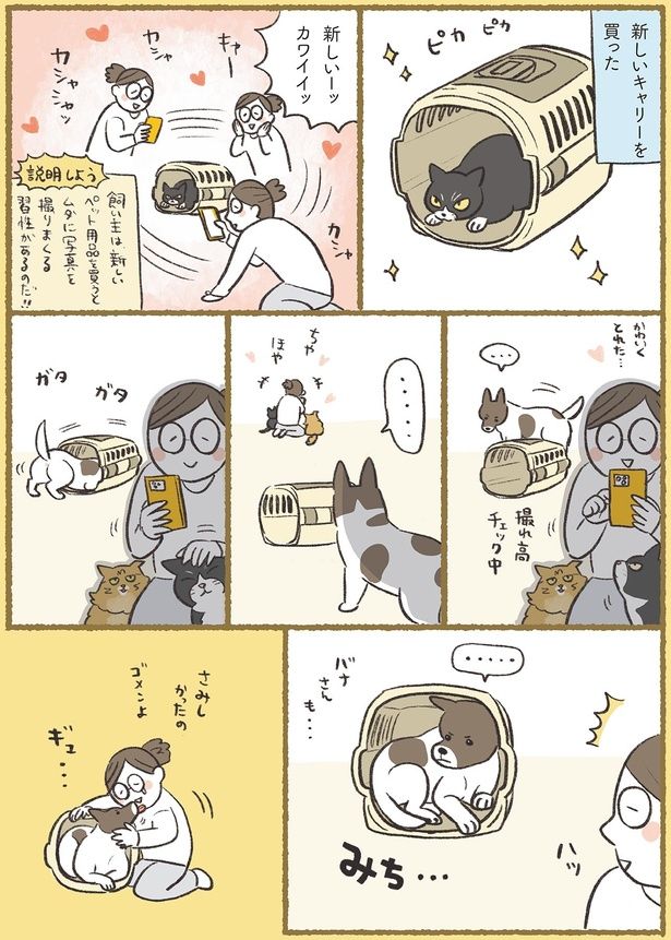 新しいーッ カワイイッ （C）ふじもりはる／KADOKAWA