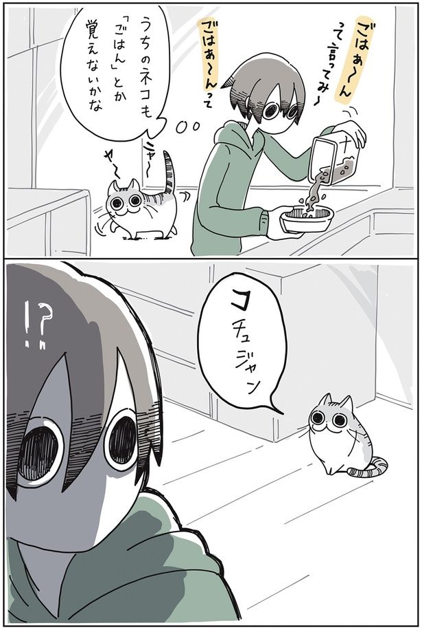 コチュジャン （C）キュルZ／KADOKAWA