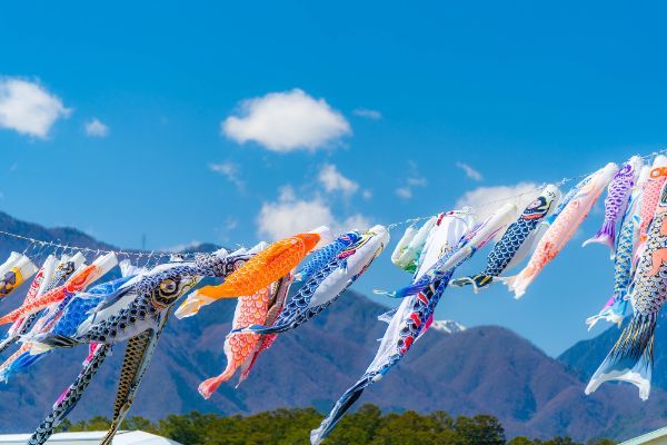 菖蒲湯に入るのは、5月5日の端午の節句