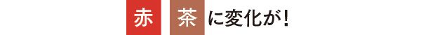 赤・茶に変化が！