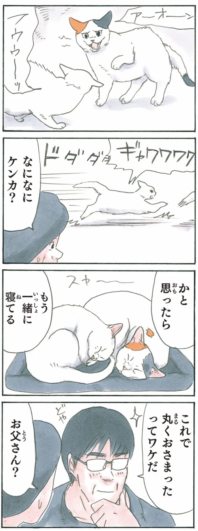 13344049.webp