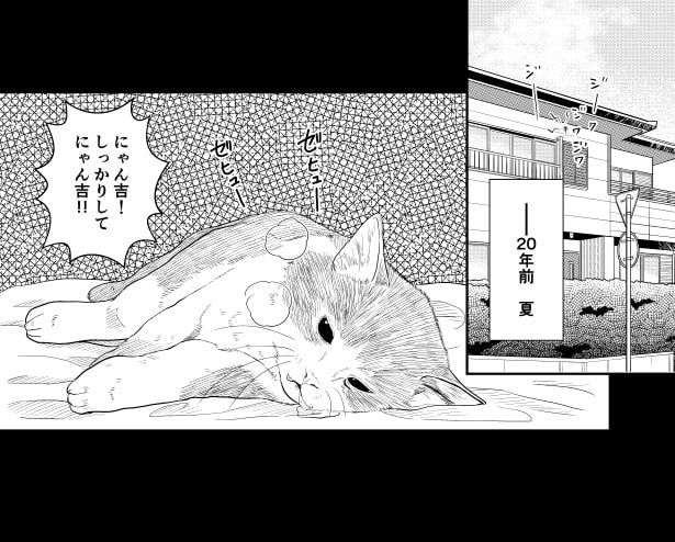 苦しんでいるのに、病院も閉まっていて救急車も呼べない 夏野ばな菜(@NatsunoBanana)