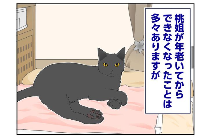 【マンガ・老猫日誌＃60】老猫、キレイを要求する！？〜19歳の元保護猫・桃姐