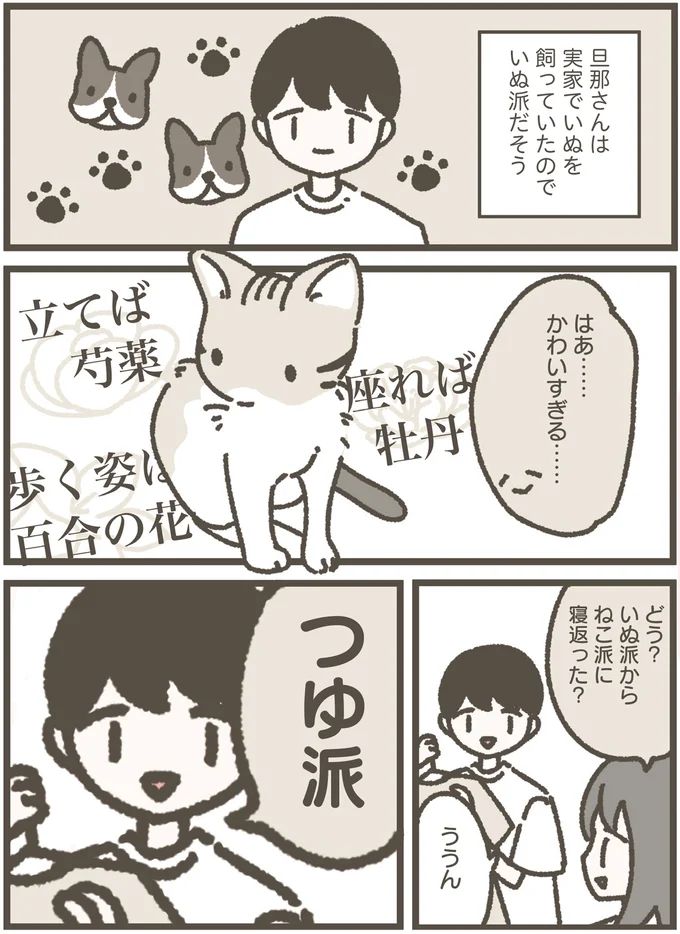 16124255.webp