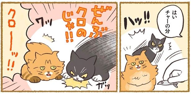 ぜんぶクロのじゃ！！ （C）ふじもりはる／KADOKAWA