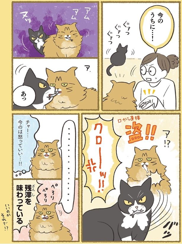 今のは怒っていい…！！ （C）ふじもりはる／KADOKAWA