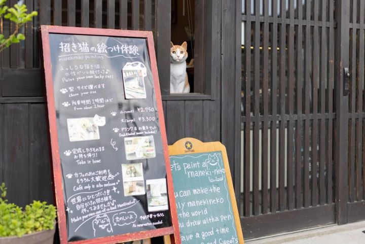 カフェ猫衛門